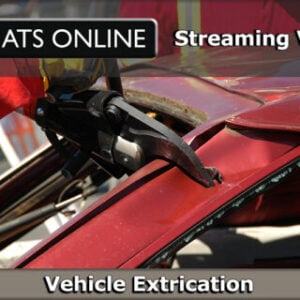 vehicle_ex_556275138
